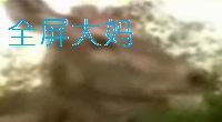 羊叔会出现的 叫声什么最讨厌了。。。。。